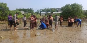 Polres Sampang Ajak Pramuka Dan Tagana Tanam Pohon Mangrove Di Pantai Desa Taddan Camplong