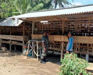 Babinsa Koramil Ponggok Laksanakan Pemantauan Dan Pengecekan Hewan Ternak Milik Warga Binaannya