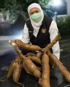 Peringati Hari Pangan Sedunia, Gubernur Khofifah : Perkuat Jatim Sebagai Lumbung Pangan Nasional