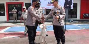 Jelang Akhir Masa Bakti, Kapolres Bangkalan Beri Kambing Kepada Kapolsek Konang