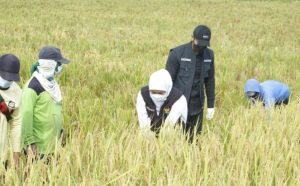 Gubernur Khofifah Apresiasi Surplus Beras Kabupaten Ngawi Tertinggi se Indonesia