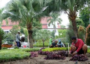 TAMAN SURYA SEGERA DIBUKA UNTUK PUBLIK, WALI KOTA ERI INGIN PEMKOT LEBIH DEKAT DENGAN RAKYAT