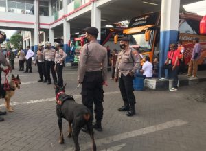 Polresta Sidoarjo Siagakan Anjing Pelacak Jelang Nataru