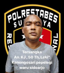 Polisi Tangkap Pencuri Spesialis Pecah Kaca Mobil yang Beraksi di 5 TKP Kota Surabaya
