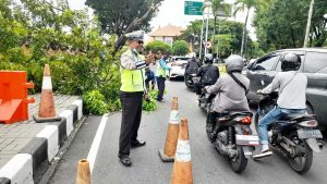 Pohon Tumbang di Jalur Bandara, Personil Polres Bandara Pengaturan Lalin Antisifasi Kemacetan