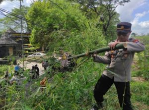 Polisi Bersama Dinas PU Jember Lakukan Pemangkasan Ranting Pohon, Tindaklanjuti Jumat Curhat