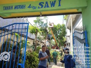 Antisipasi Pohon Tumbang, Lurah Tanah Kalikeding, RT dan Dinas Terkait Lakukan Pemangkasan Pohon