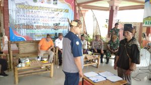 Kapolsek Tosari Polres Pasuruan Melaksanakan Penanaman Bibit Kopi dan Cemara