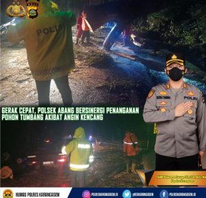Gerak Cepat Polsek Abang Bersinergi Penanganan Pohon Tumbang