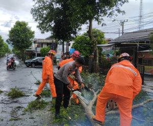 Sigap, Polisi Tangani Pohon Tumbang di Jagalan, Lalulintas Trenggalek – Ponorogo Kembali Normal