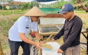Panen Raya Hasilkan 150 Karung Padi, Lapas Pamekasan Optimalkan Program Asimilasi WBP