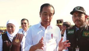 Presiden Jokowi Minta Harga Gabah Segera Ditentukan