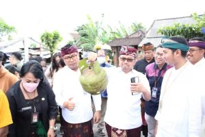 Pertamina akan berusaha untuk memberikan jaminan persediaan LPG 3 Kg kepada masyarakat untuk wilayah Jawa dan bali