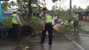 Akibat Hujan, Pohon Tumbang di Jalan Raya Sangeh