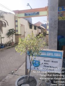 Kongkalikong masih saja ada yang berani melakukan proyek misterius semacam (hantu)