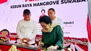 DI HADAPAN MEGAWATI, WALI KOTA ERI CAHYADI SEBUT KEBUN RAYA MANGROVE SURABAYA JADI SARANA EDUKASI – WISATA