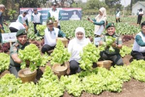 Gubernur Khofifah Bersama Pangdivif 2 Kostrad Gelar Gerakan Tanam 10 Ribu Pohon