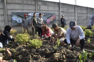 KENDALIKAN INFLASI, PEMKOT SURABAYA TANAM CABAI SERENTAK BERSAMA KELOMPOK TANI SE-SURABAYA