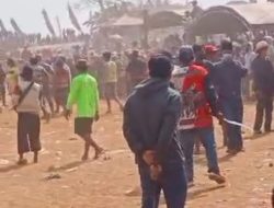 Kerapan Sapi di Bangkalan Berujung Ricuh, Tiga Orang Luka Akibat Benda Tajam