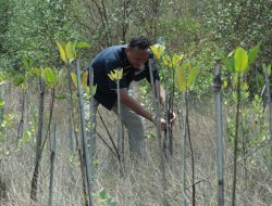 HUT Humas Polri ke-72, Polres Gresik Gelar Penghijauan Mangrove di Kali Mireng