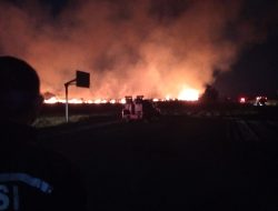 Gercep Polisi dan Petugas Damkar Berhasil Padamkan Kebakaran Lahan Alang-alang di Bandara Banyuwangi
