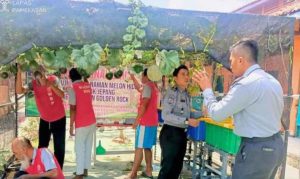 Lapas Pamekasan Bekali WBP Cara Hidroponik buah Melon