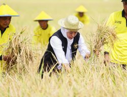 Gubernur Jatim : Jatim Jadi Produsen Padi Tertinggi Nasional 4 Tahun Berturut-turut