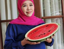 Dukung Perjuangan Rakyat Palestina, Gubernur Khofifah Ganti Foto Profil Bawa Semangka