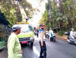 Bhabinkamtibmas Kelurahan Sading bersama DLHK Lakukan Pemangkasan Pohon Perindang