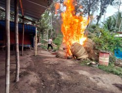 Tegas! Polres Malang Bongkar Arena Sabung Ayam di Wonokerto Bantur