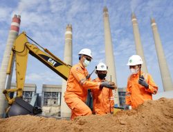 Di COP28 Dubai, PLN-Kemenkomarves Luncurkan Program STAB dan PERTIWI, Kembangkan Biomassa di Tanah Air