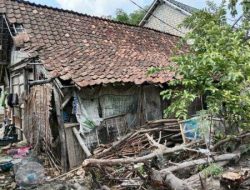 Kurang Jelinya Pemerintah Desa Jegulo Tuban, Sampai Warga Tak Tersentuh Bantuan Dari Pemerintah