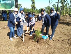 Srikandi Perhutani Bondowoso Semangat, Menanam Pohon Demi Kelestarian Lingkungan Hidup