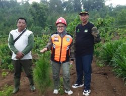 Perhutani Divisi Regional Jawa Timur, Mengetahui Secara Pasti Divre Jatim Memberikan Tugas Personilnya