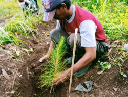 KPH Bondowoso Tancap Gas Lakukan Giat Kerja