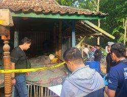 Polisi Berhasil Amankan Tersangka Pembunuhan di Sampang