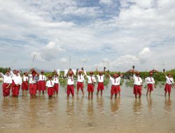 Kontribusi Sektor Lingkungan, PLN Tanam 283.739 Pohon Sepanjang 2023