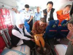 Gubernur Khofifah Hijaukan Kembali Arjuno-Welirang