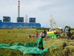 Tingkatkan Tata Kelola, PLN Sukses Turunkan Tingkat Risiko ESG