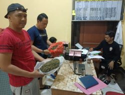 Pelaku Pengedar Ganja 1 Kg Berhasil Dibekuk Polres Bondowoso