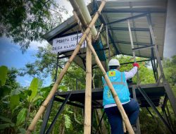 Pertanian Hemat 80% di Pekalongan dengan PLN Electrifying Agriculture