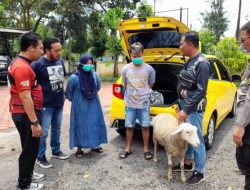 Pakai Mobil Mewah, Pasutri Juragan Sate Curi Kambing