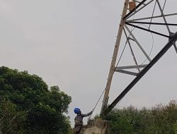 Upaya Cegah Gangguan, PLN Icon Plus Lakukan Operasi Pembongkaran Kabel Optik Obsolete di Tower SUTT dan SUTET
