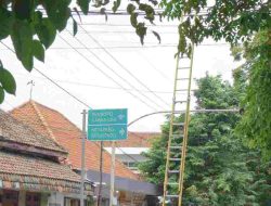 Jaringan Tetap Handal Saat Cuaca Ekstrem, PLN Icon Plus dan PLN UP3 Banyuwangi Menata Kabel di Tiang PLN