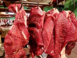 Pasokan Kebutuhan Daging di Jatim Aman, Meskipun Ada Perbedaan Harga