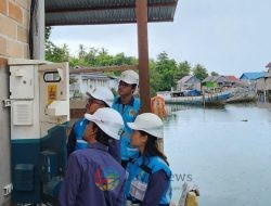 Kiprah Srikandi PLN di Lapangan, Hadirkan Listrik Hingga Ujung Nusantara