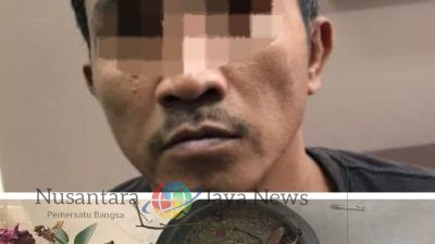 Tanaman Ganja, Warga Wringinanom Diciduk Polisi
