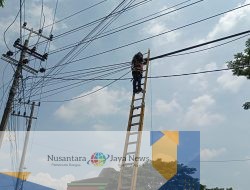 Jaga Estetika dan Keandalan Jaringan, PLN Icon Plus Lakukan Perapihan Kabel di Tiang PLN Pandaan, Kab.Pasuruan