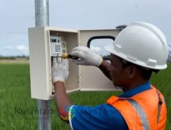Panen Raya Sukses, Program _Electrifying Agriculture_ PLN Mampu Tingkatkan Produktivitas Pertanian Padi di Ponorogo