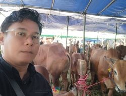 Harga Hewan Kurban di Surabaya Mulai Naik Jelang Idul Adha 1445 Hijriah